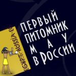 ЕГИПЕТСКАЯ СИЛА